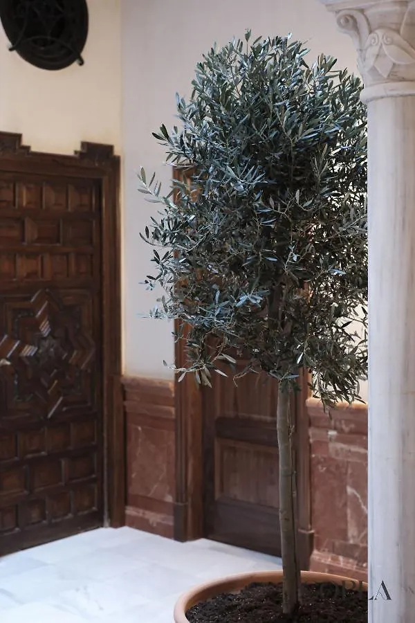 Exclusive And Unique Para 4 Pax En El Centro De Sevilla 0*, Seville